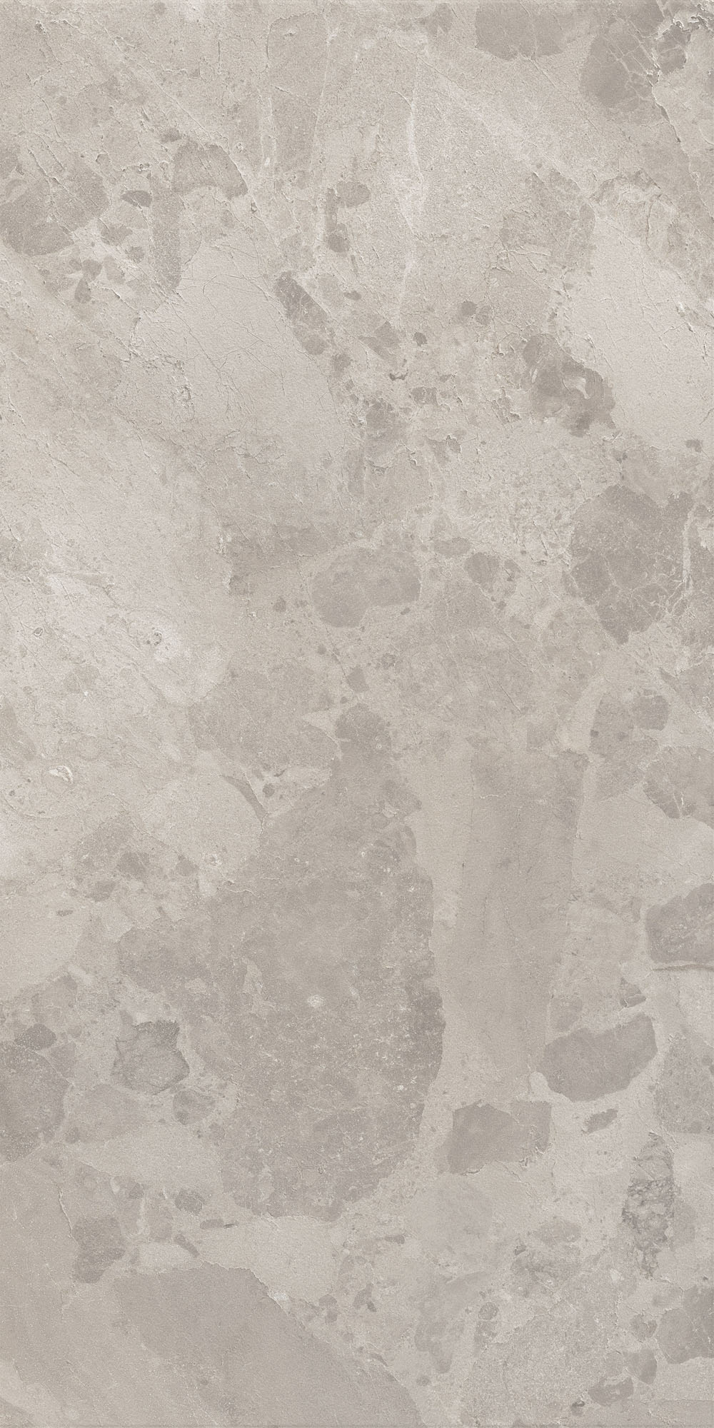 AIO4 Bloomstone Silt Matt RT 60x120 Caesar