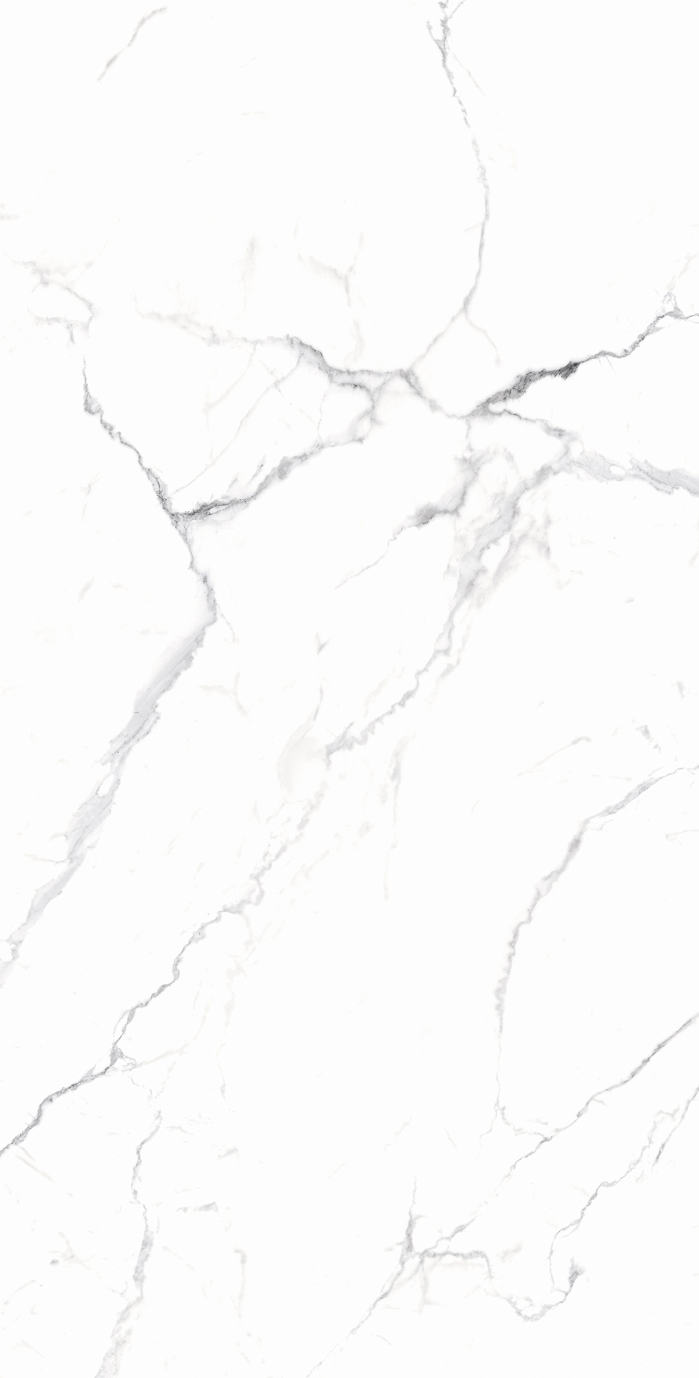 RT7018-A Carrara White Matt Rustic 60x120 Arcadia Ceramica