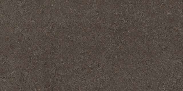 Thar Wood 60x120 Colortile