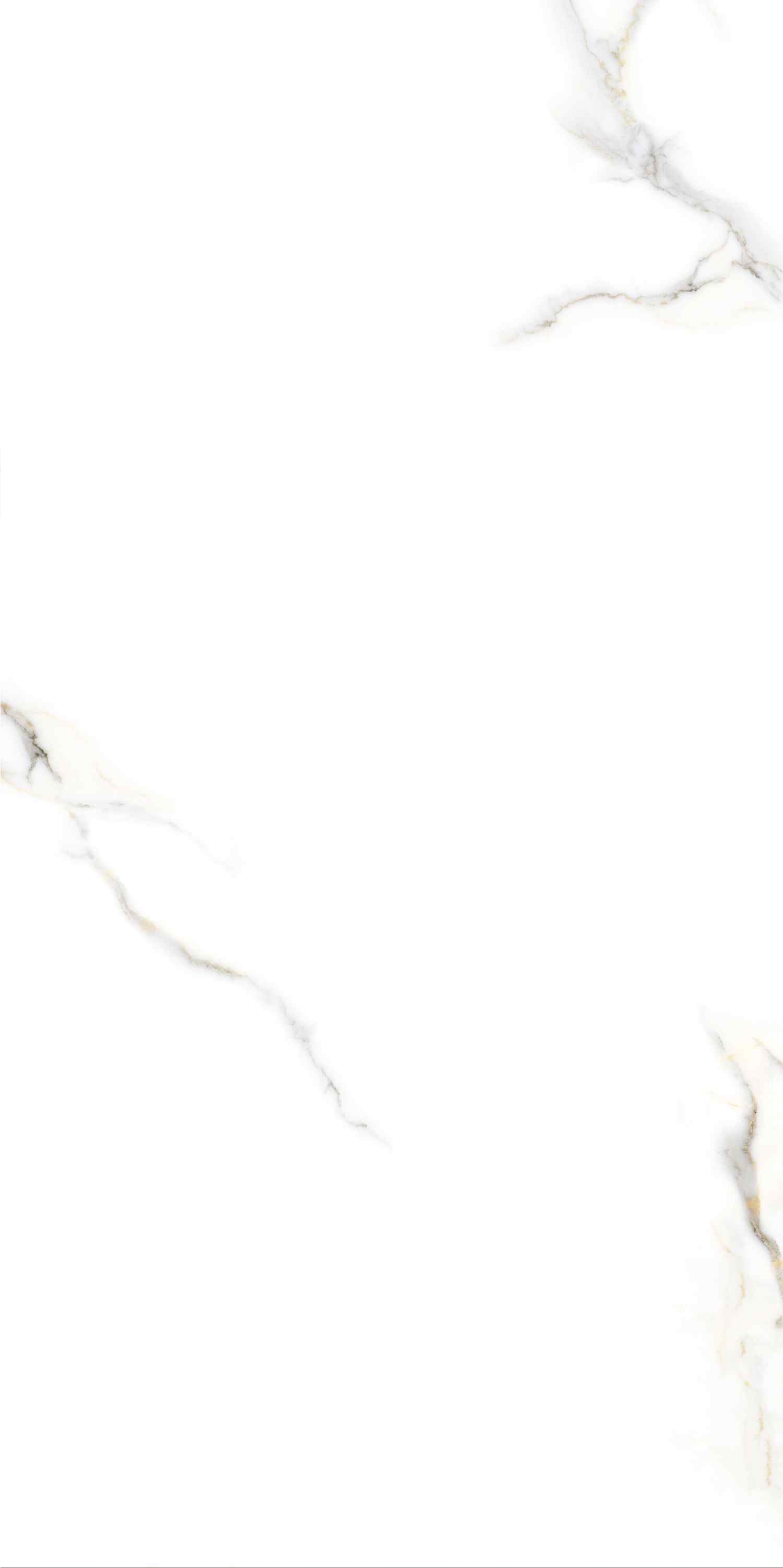 Zoom Satuario Glossy 60х120 Embito Granito