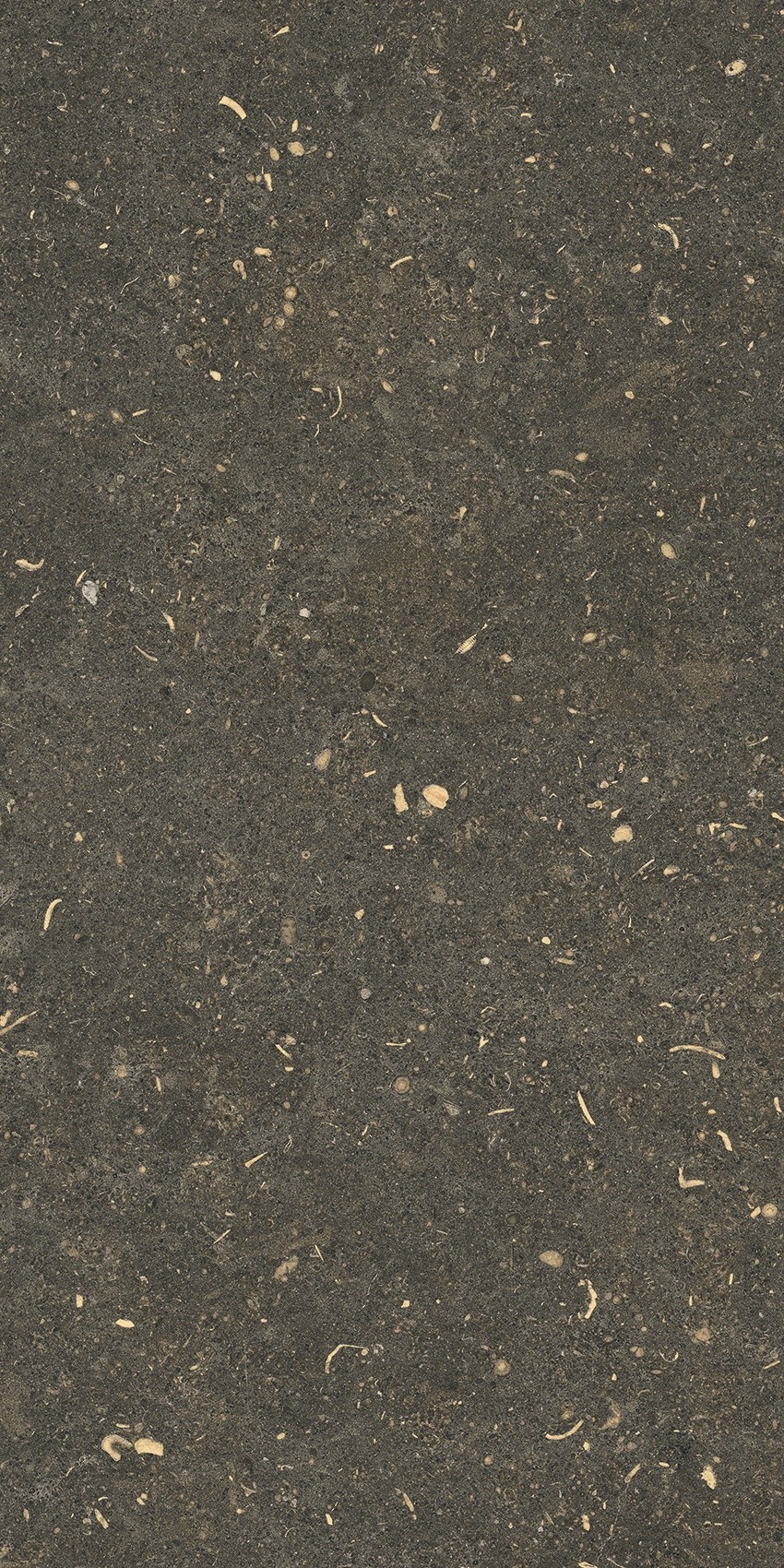 785491 Rinascenza Arena Platino Matte 30x60 Casa Dolce Casa фото 4