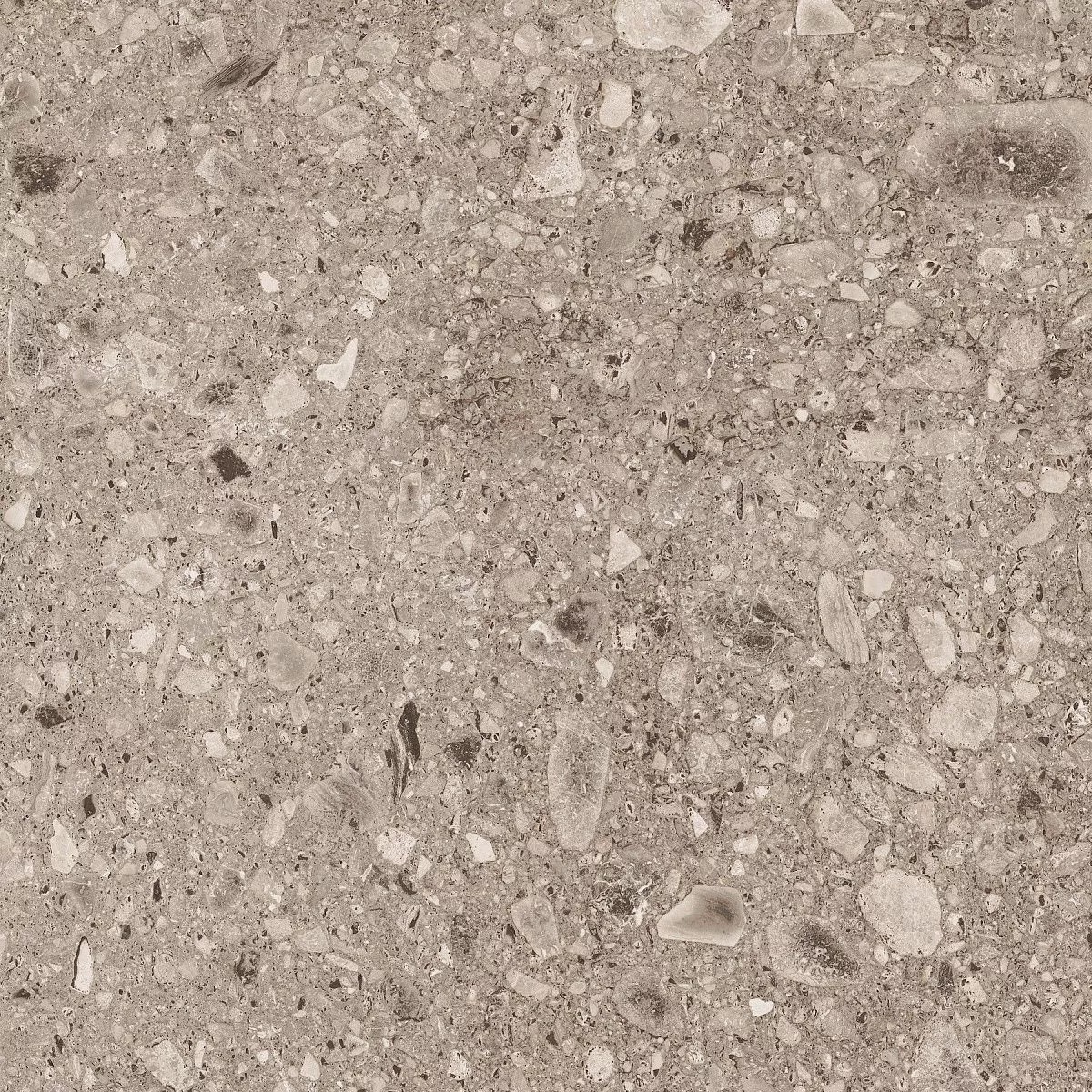 Gloria Gold 60x60 Prime Ceramics
