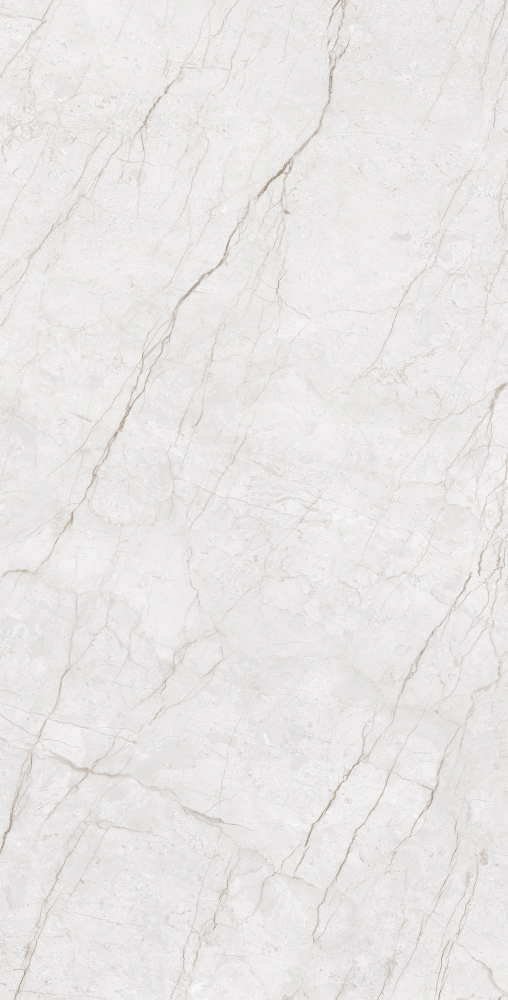 CR4014-A Meteria Silver Carving 60x120 Arcadia Ceramica
