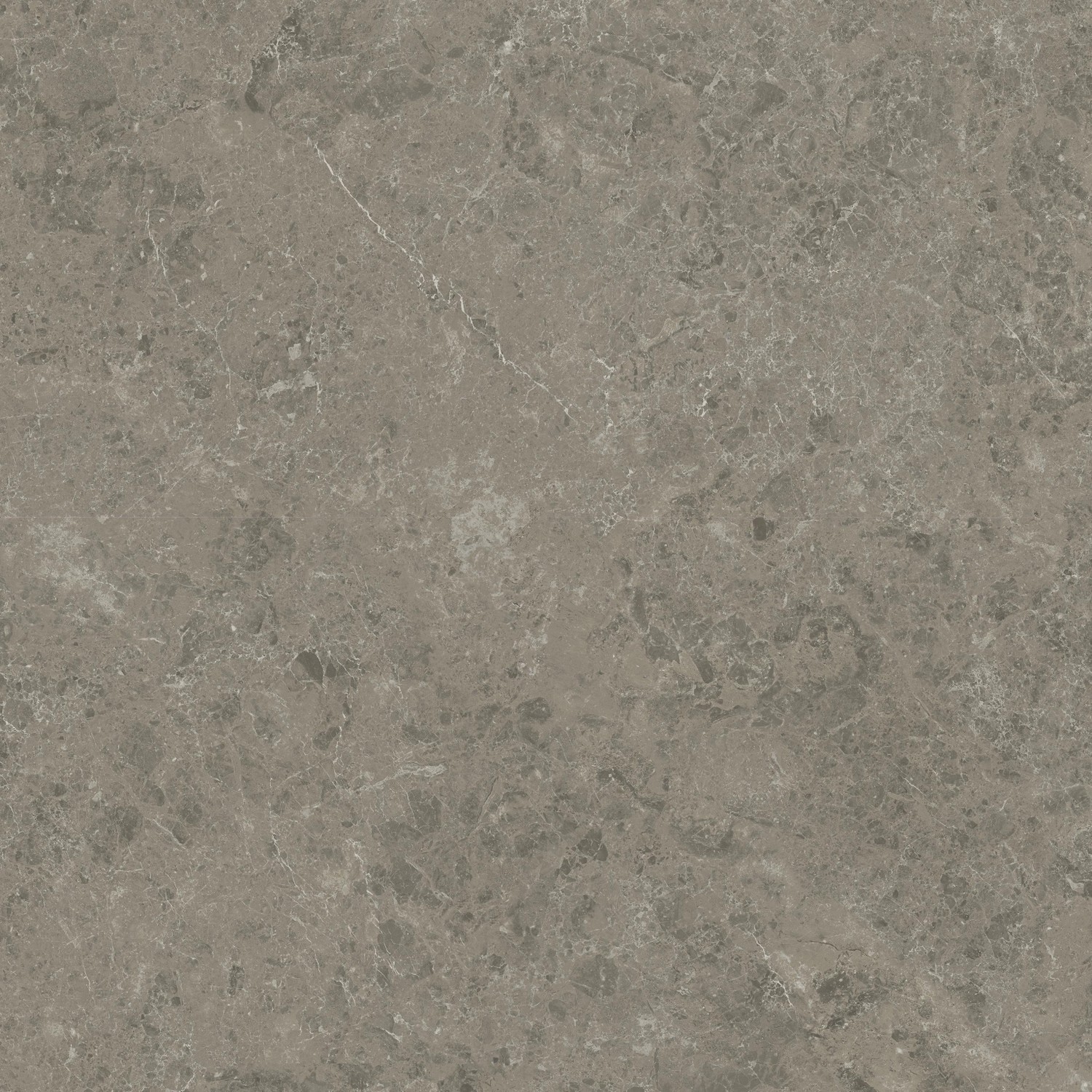 AJIL Marvel Meraviglia Grigio Elegante Velvet 120x120 Atlas Concorde