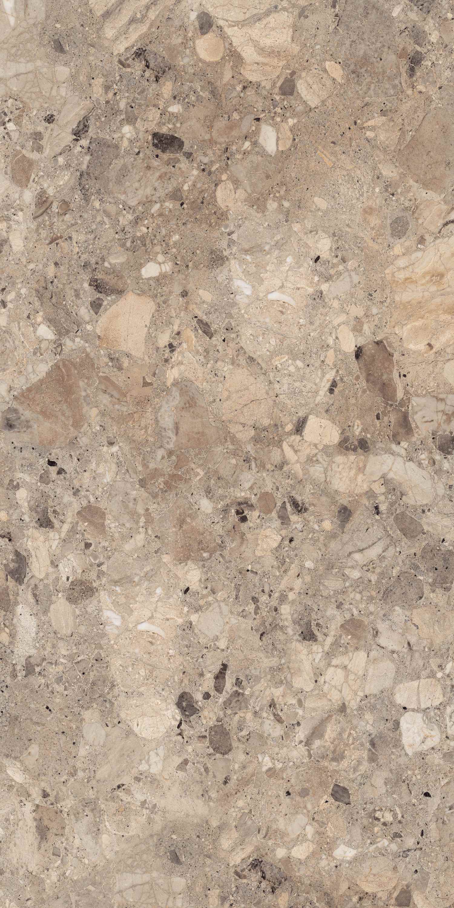 Clio Natural Deck 60x120 BELLEZA