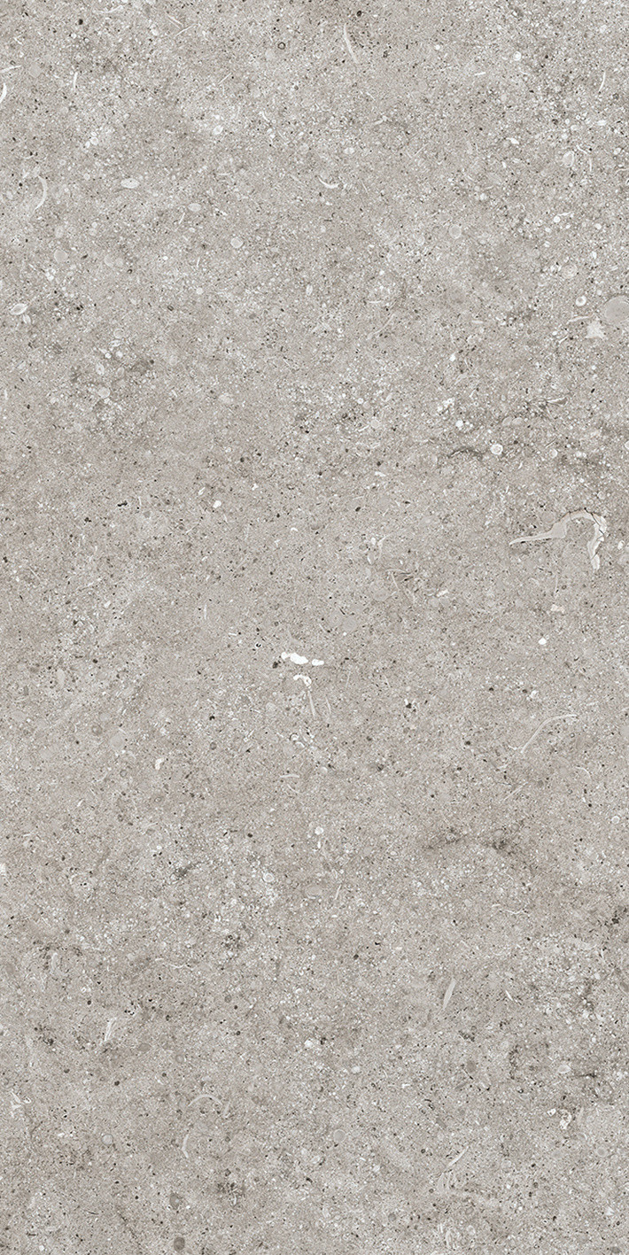 768342 Sensi Grey Fossil Ret 40x80 Casa Dolce Casa