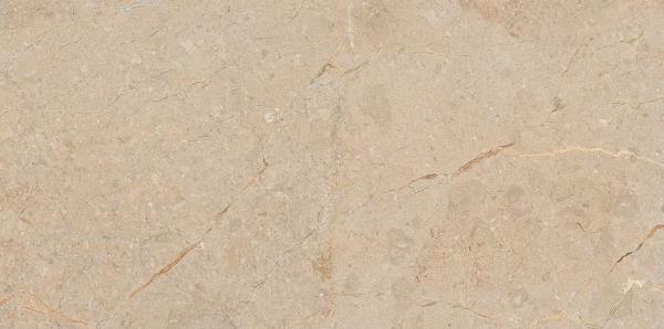 Camel Glossy 60x120 Art & Natura