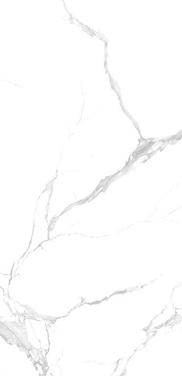 NTT3004P Bianco Carrara 120x240 NT Ceramic