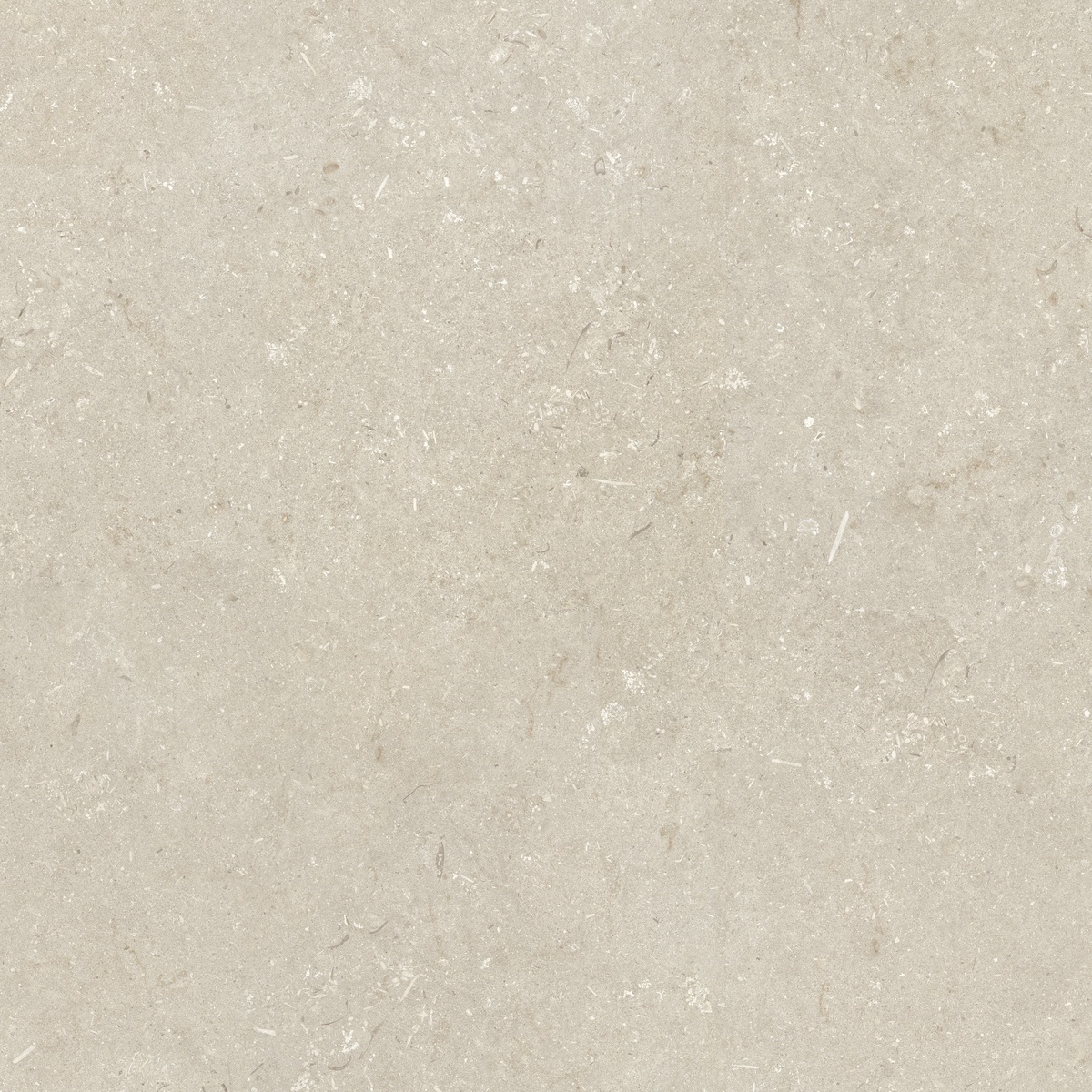 005848 Shellstone Beige 120x120 Dado Ceramica