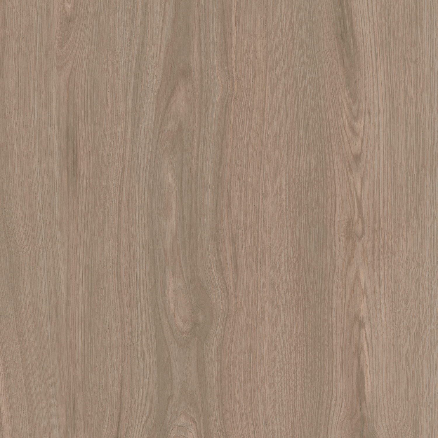 SG643820R Альберони коричневый светлый матовый обрезной 60x60x0,9 Kerama Marazzi