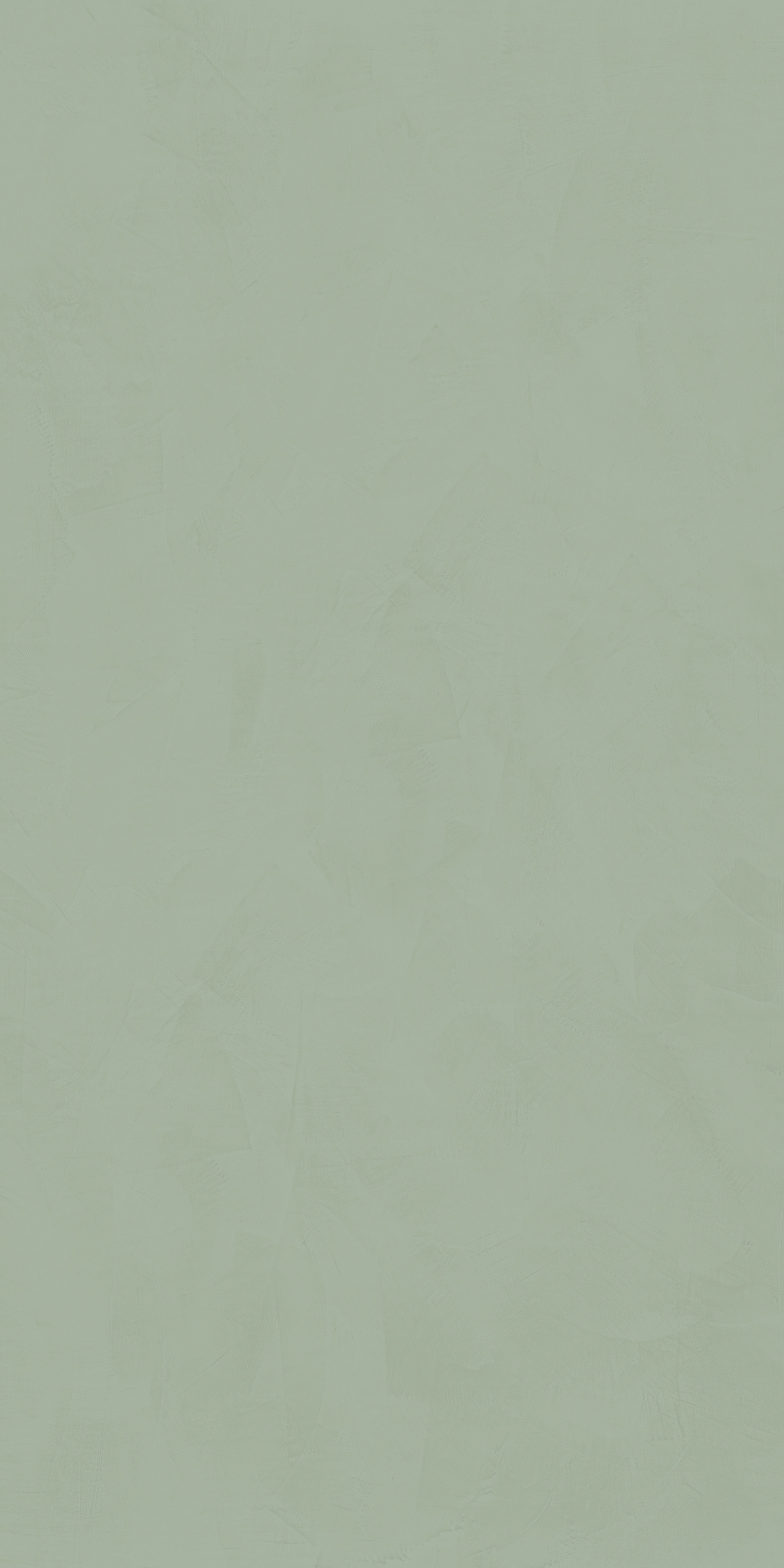 764046 Policroma Lichene Mat Ret 6mm 120x240 Cedit
