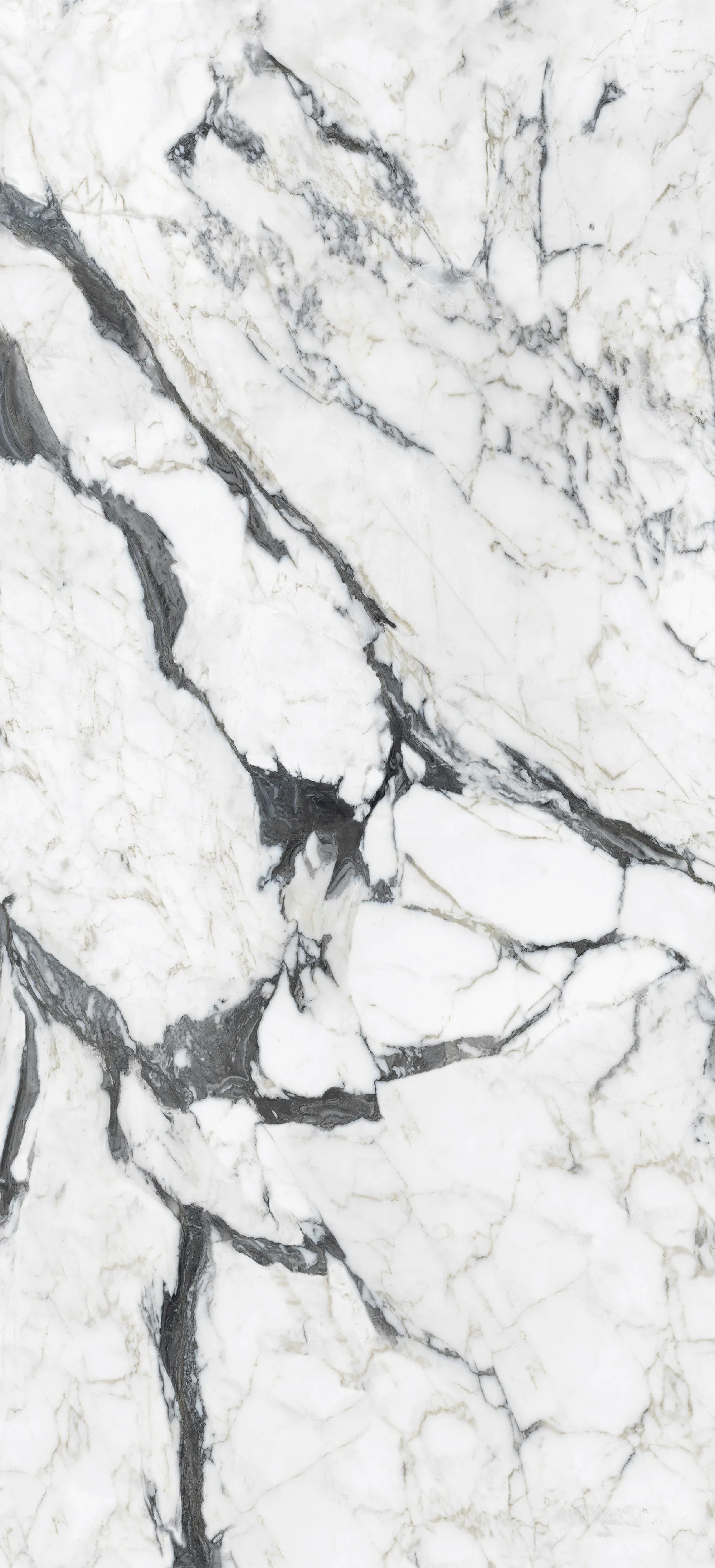 765697 Bijoux Calacatta Altissimo Glossy 6mm 120x280 Rex Ceramiche