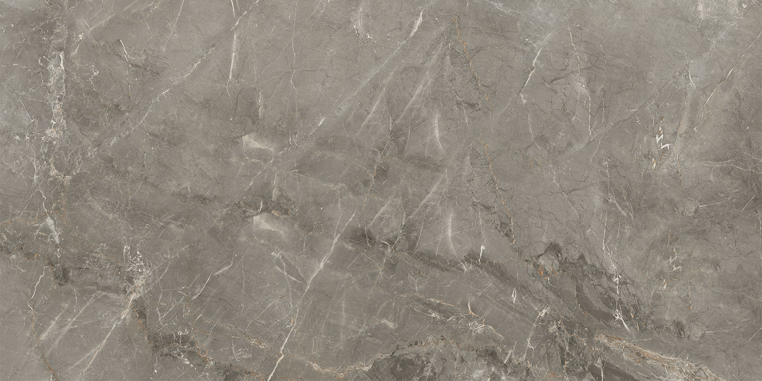 83346 Sybil Silver Levigato 60x120 Cerdomus фото 8