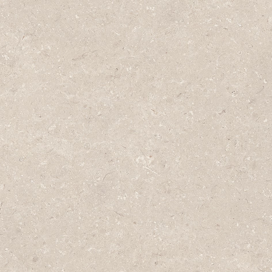 100330177 Coral Caliza L 80x80 Porcelanosa фото 9