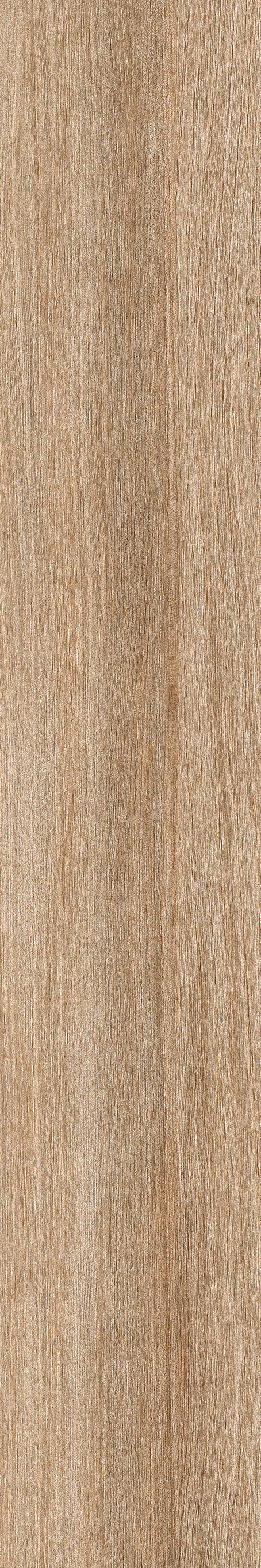 Poeme Brandy 120x20 Keraben фото 15