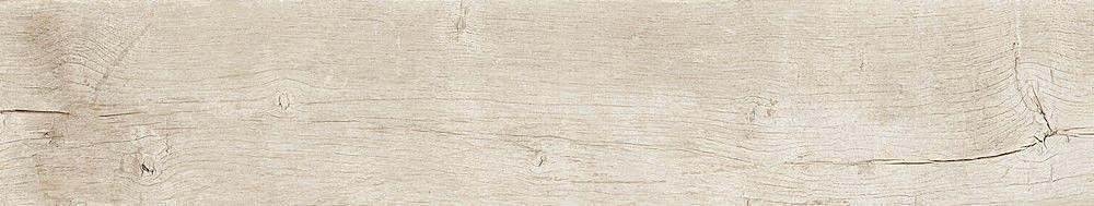 189003 Quercus Betulla 22x120 Dune