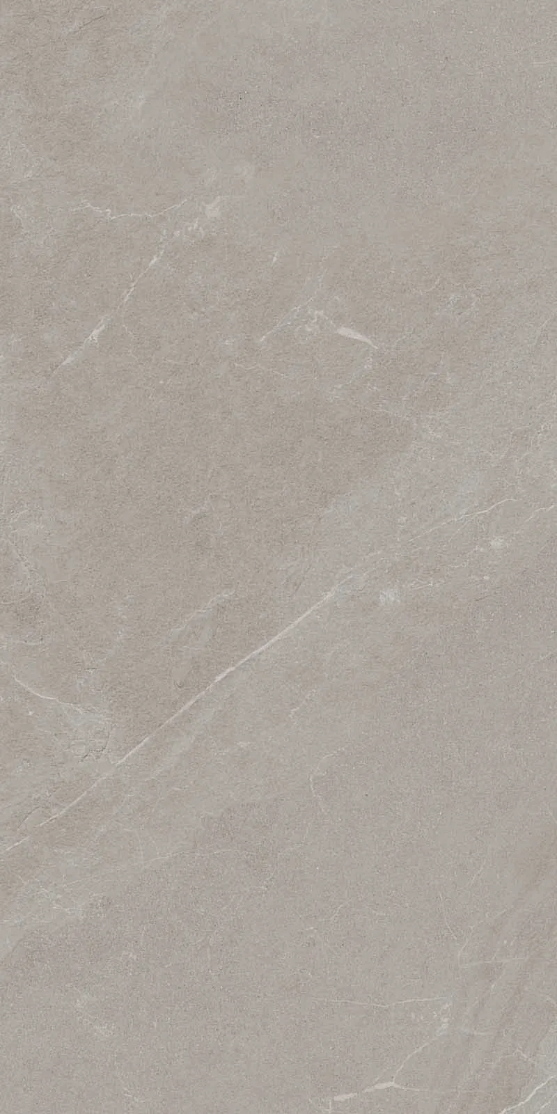 J91692 Angers AV Taupe Rett 60x120 RHS (Rondine) Ceramiche