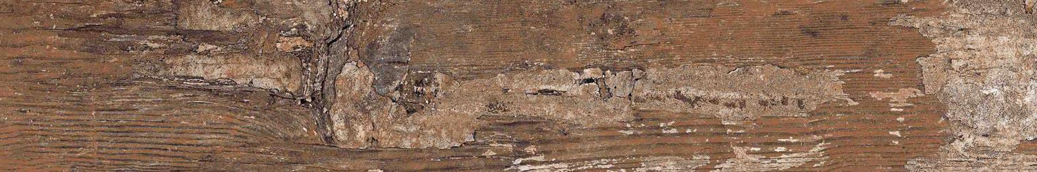 Kiwi Redroot Mat 20x120 Alpas Euro