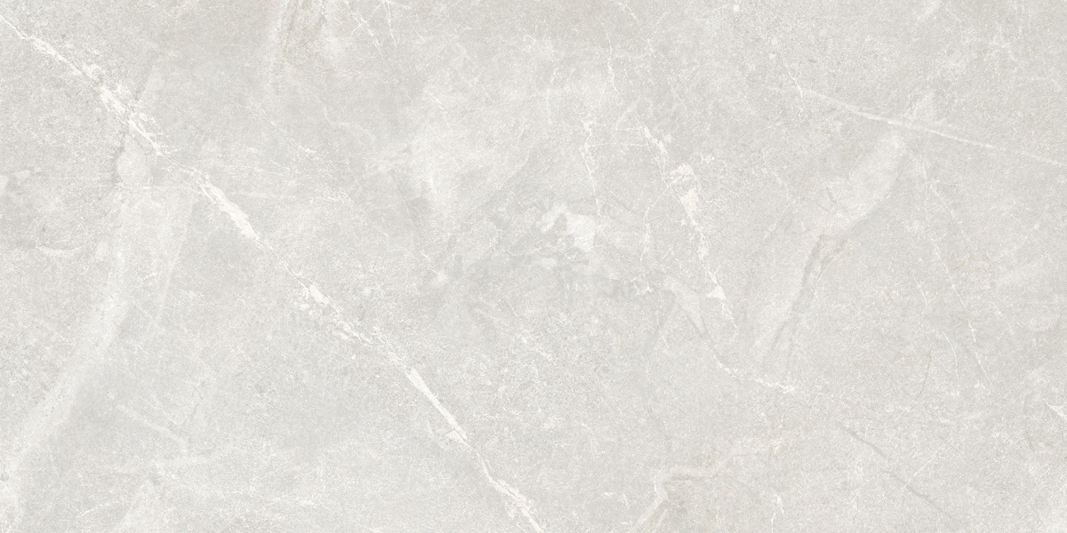 Rocky Bianco PRO светло-серый матовый R10GR STR CB 60х120 Laparet