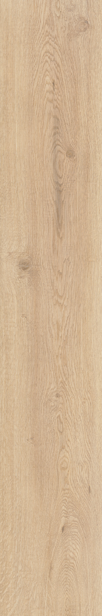 AHG9 Rever Anise Matt RT 20х120 Caesar