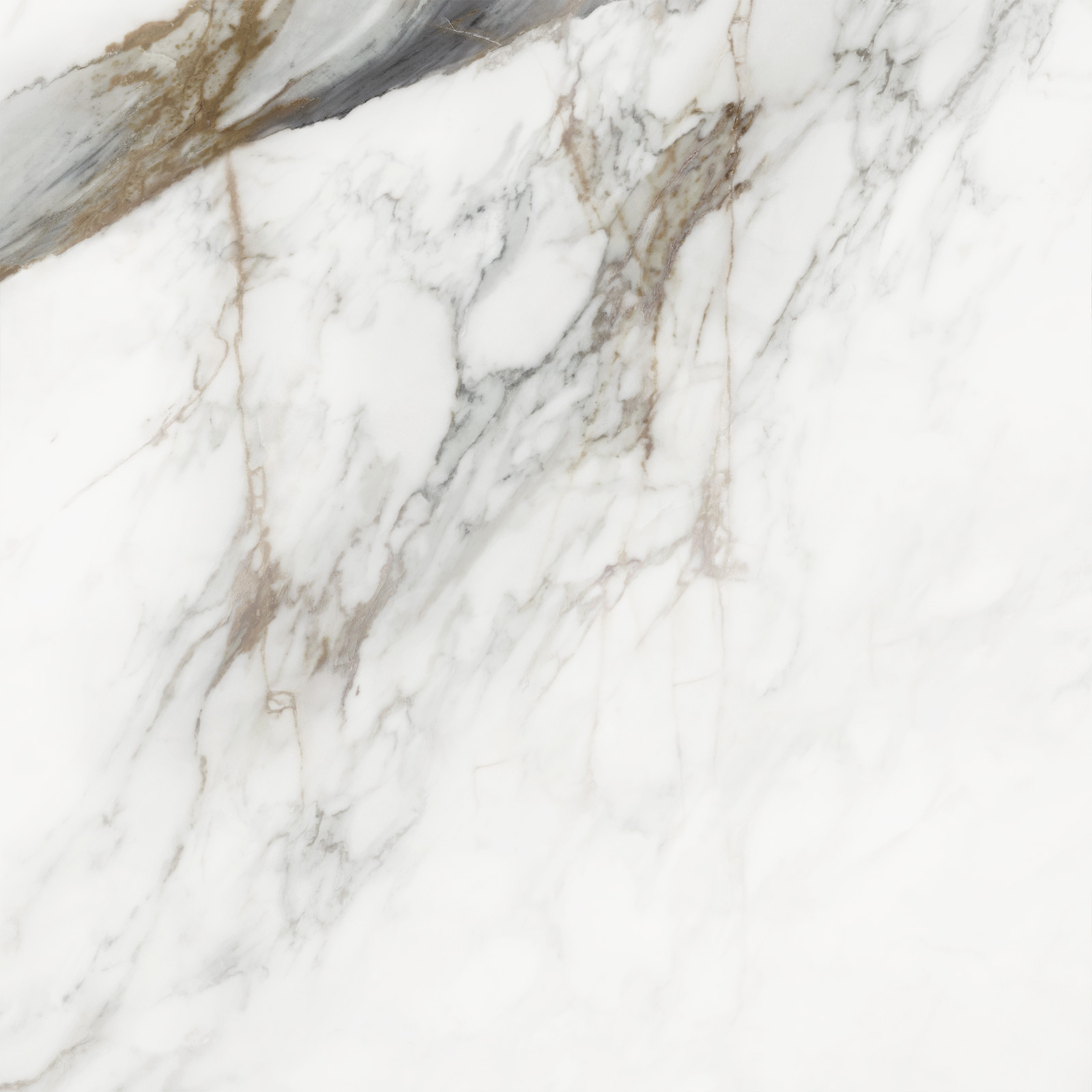 D60208M Carrara Cersei карвинг 600x600x9.5 Delacora