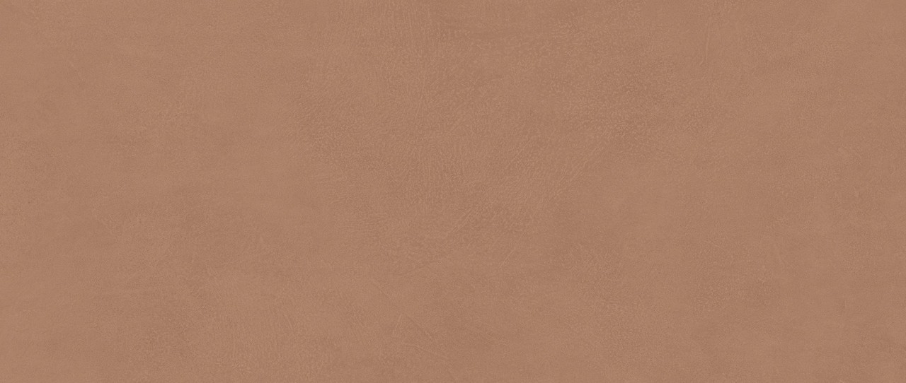 AYR9 Boost Expression Sienna Matte 50x120 Atlas Concorde