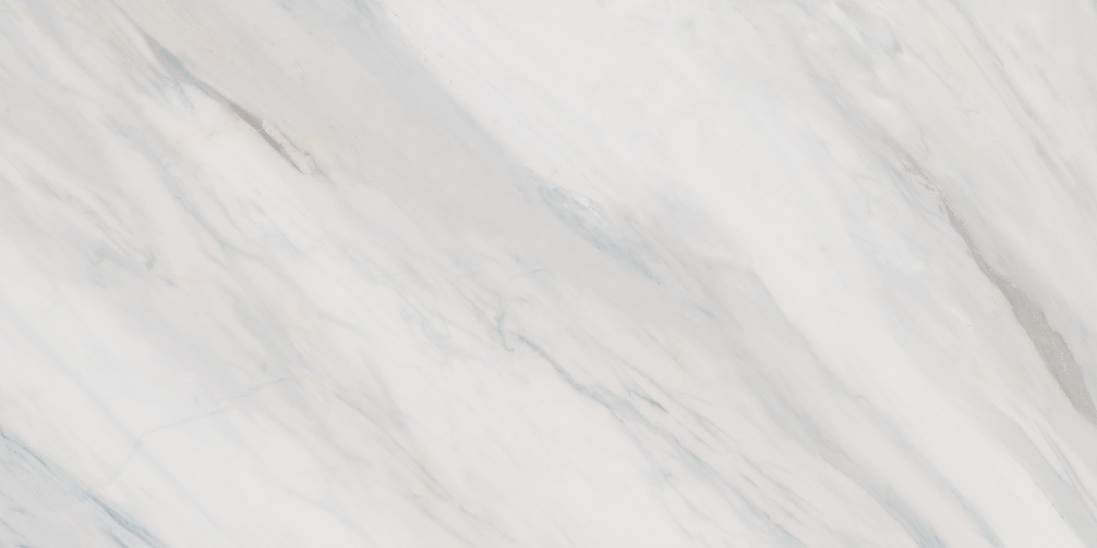 60120CAA03 Carolina Pearl Sugar 600x1200x9.5 Delacora