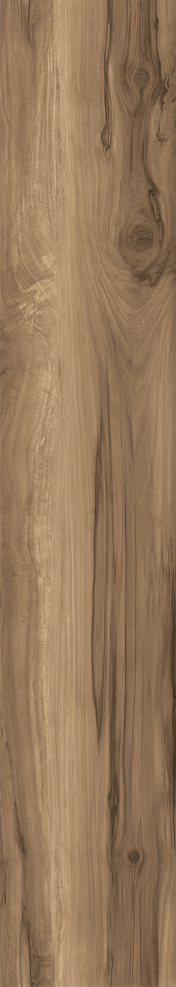 CW-RT10-B Fossil Wood Wenge Rustic 20x120 Creanza