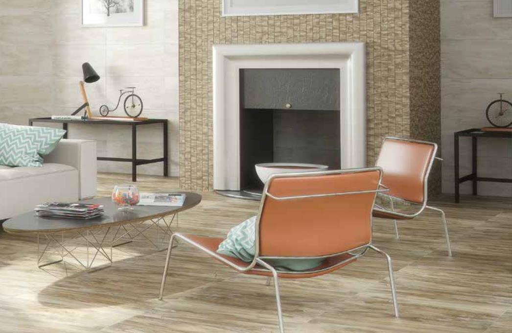 Fossil STN Ceramica