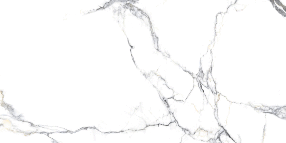 PR232 Siroco Polished 60x120 PrimaVera