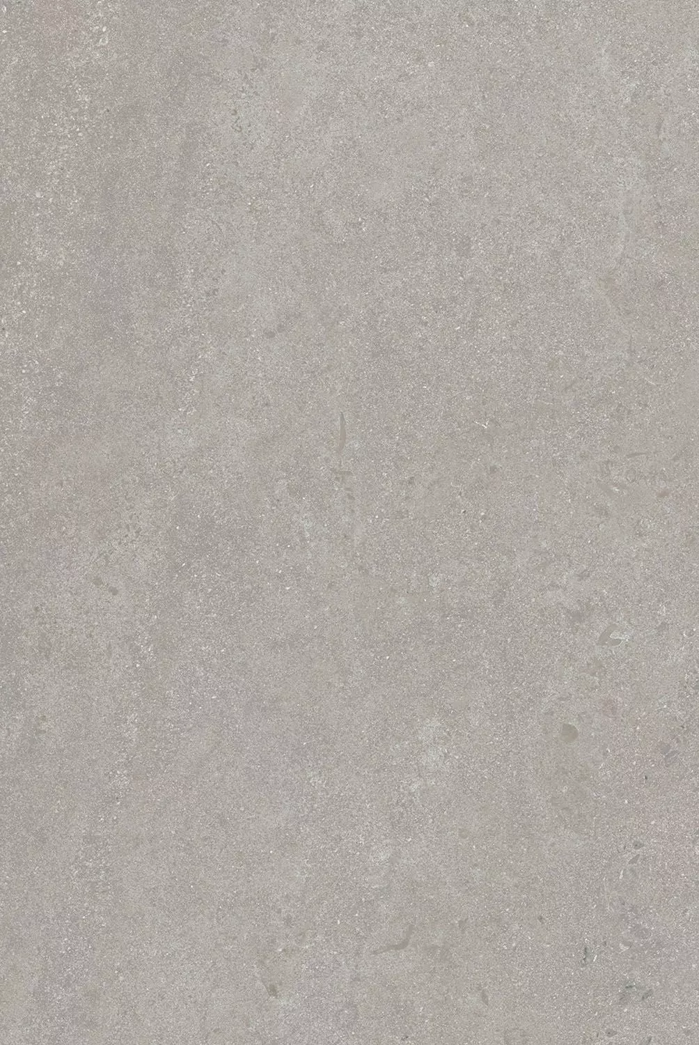 8343 Матрикс серый матовый 20х30 Kerama Marazzi