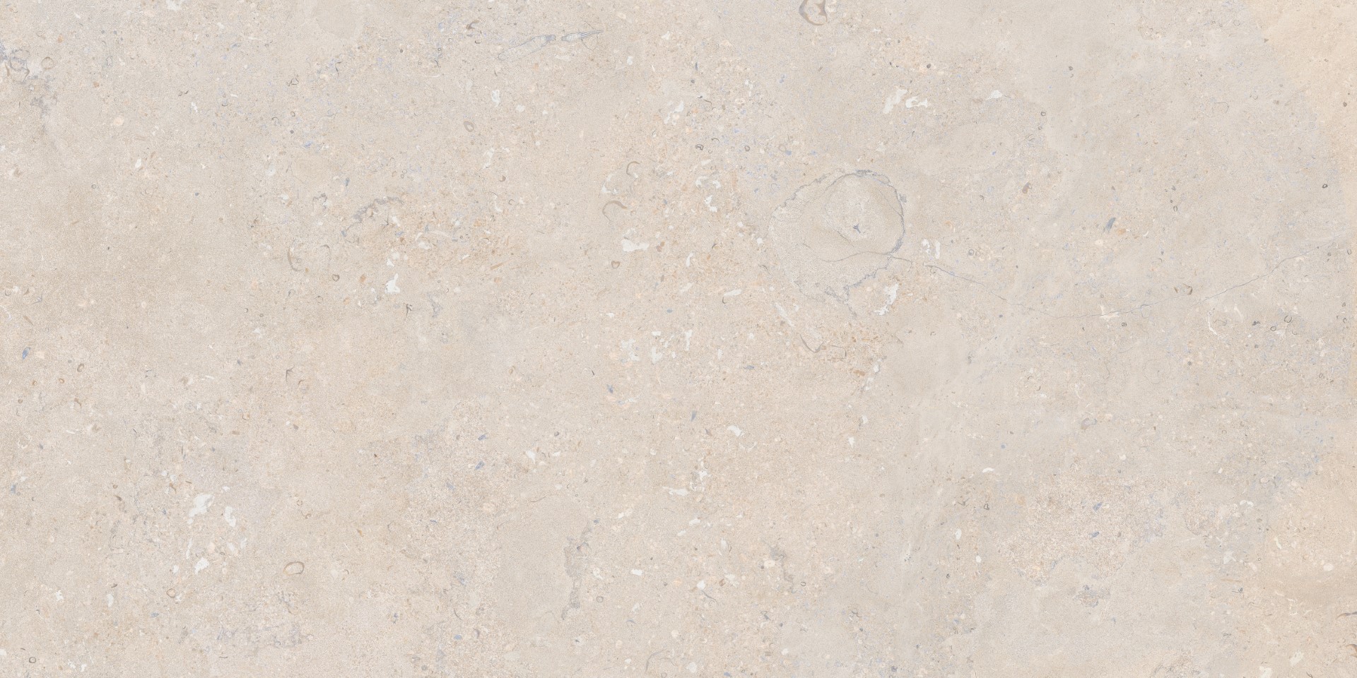Salerno Avorio Rect 60x120 Baldocer фото 2