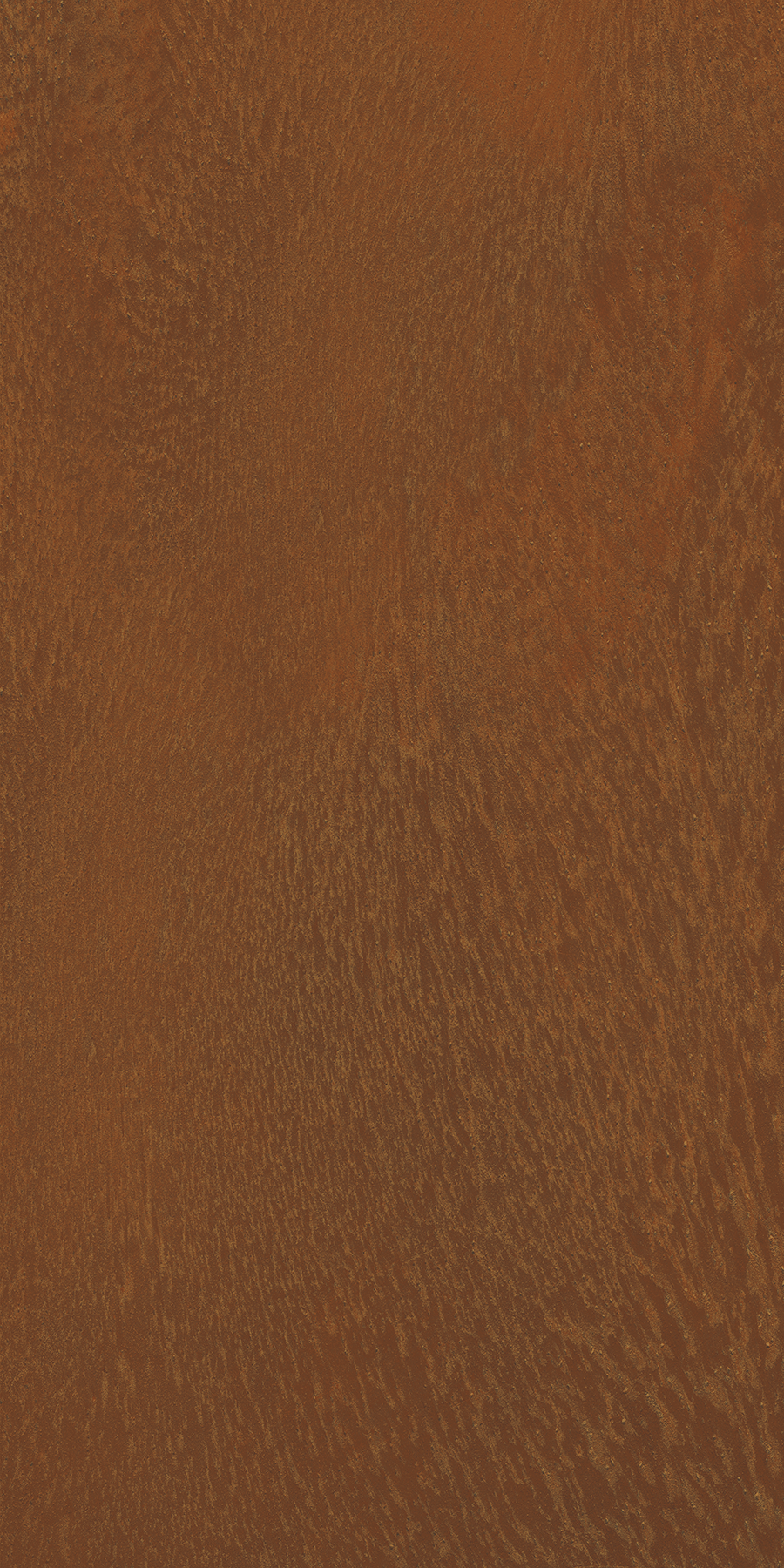 610010000804 Surface Rett. Korten 60x120 Italon фото 4