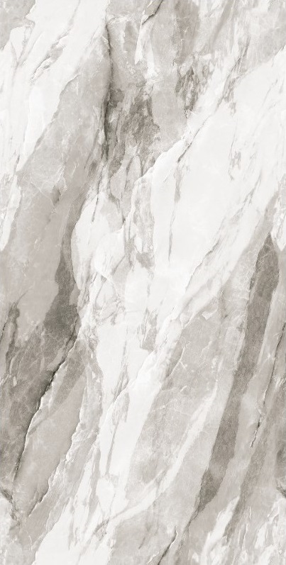 Bergen Polished Silver Carving 60x120 Realistik