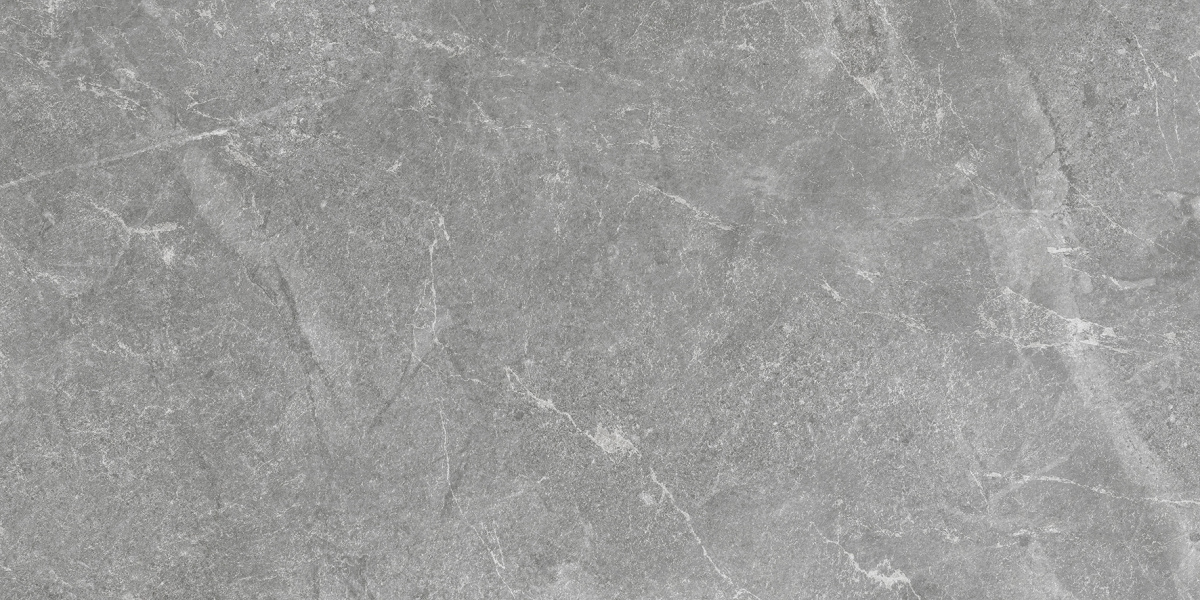 Rocky Grey PRO серый матовый R10GR STR CB 60х120 Laparet