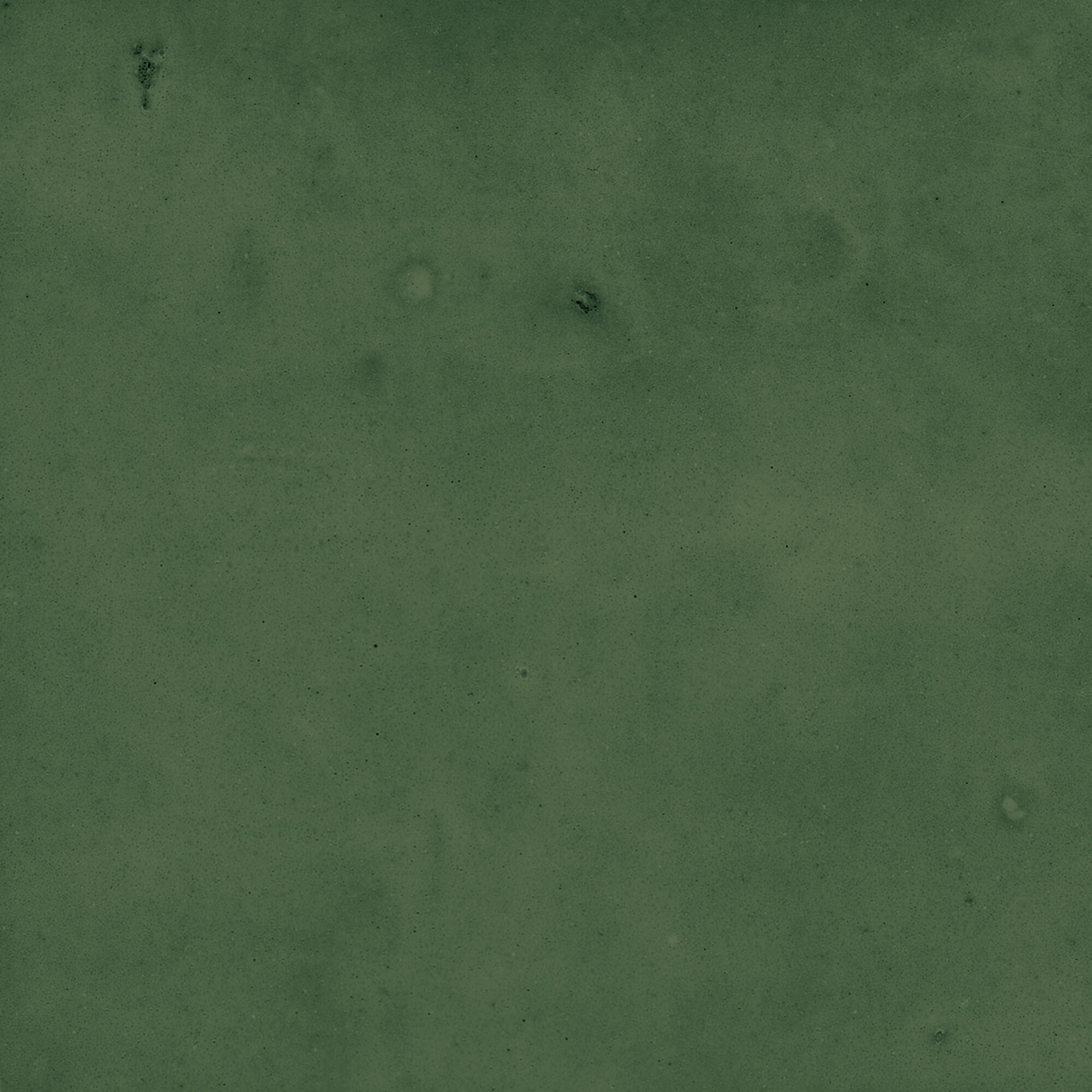 43289 Samira Green 10x10 Harmony фото 26