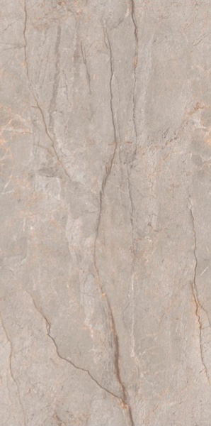 Monaco Grey carving 60x120 Leopard