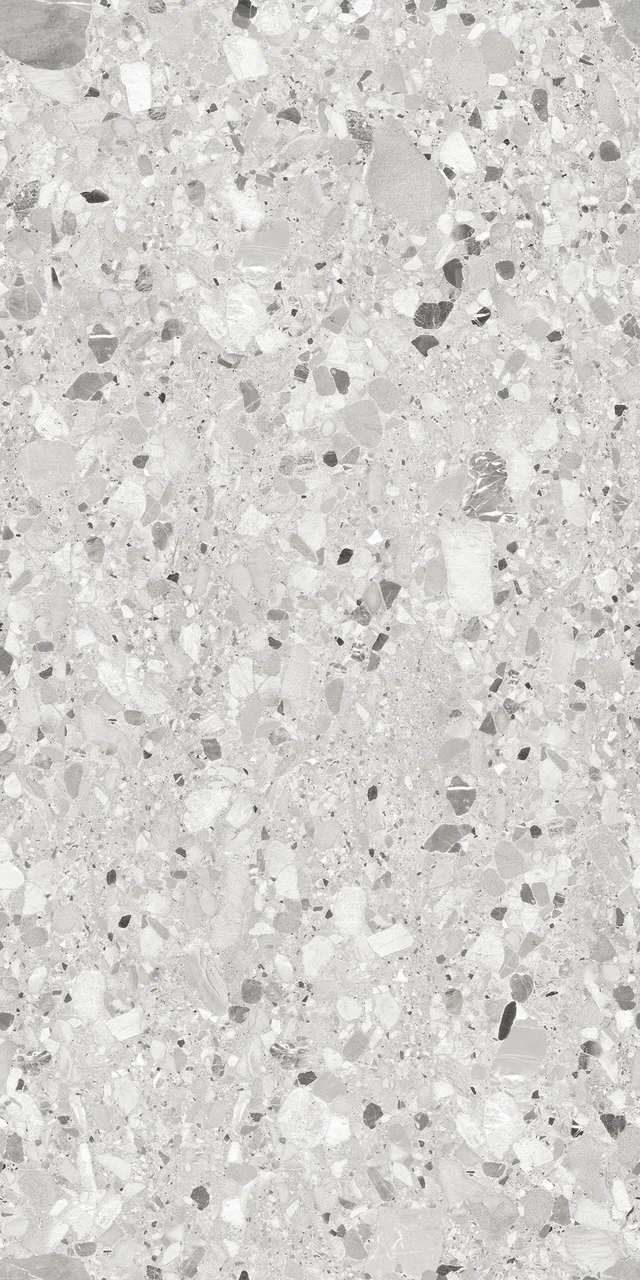 RS 1029 Grey Carving 60x120 BELLEZA фото 5