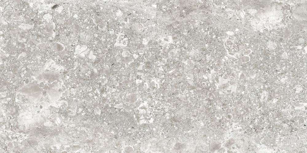 Lunar Grey Light / Лунар Светло-серый LR 120x60 Idalgo (Идальго)