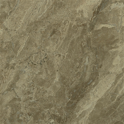 Sun Paradise GP Brown 50x50 Eurotile Ceramica