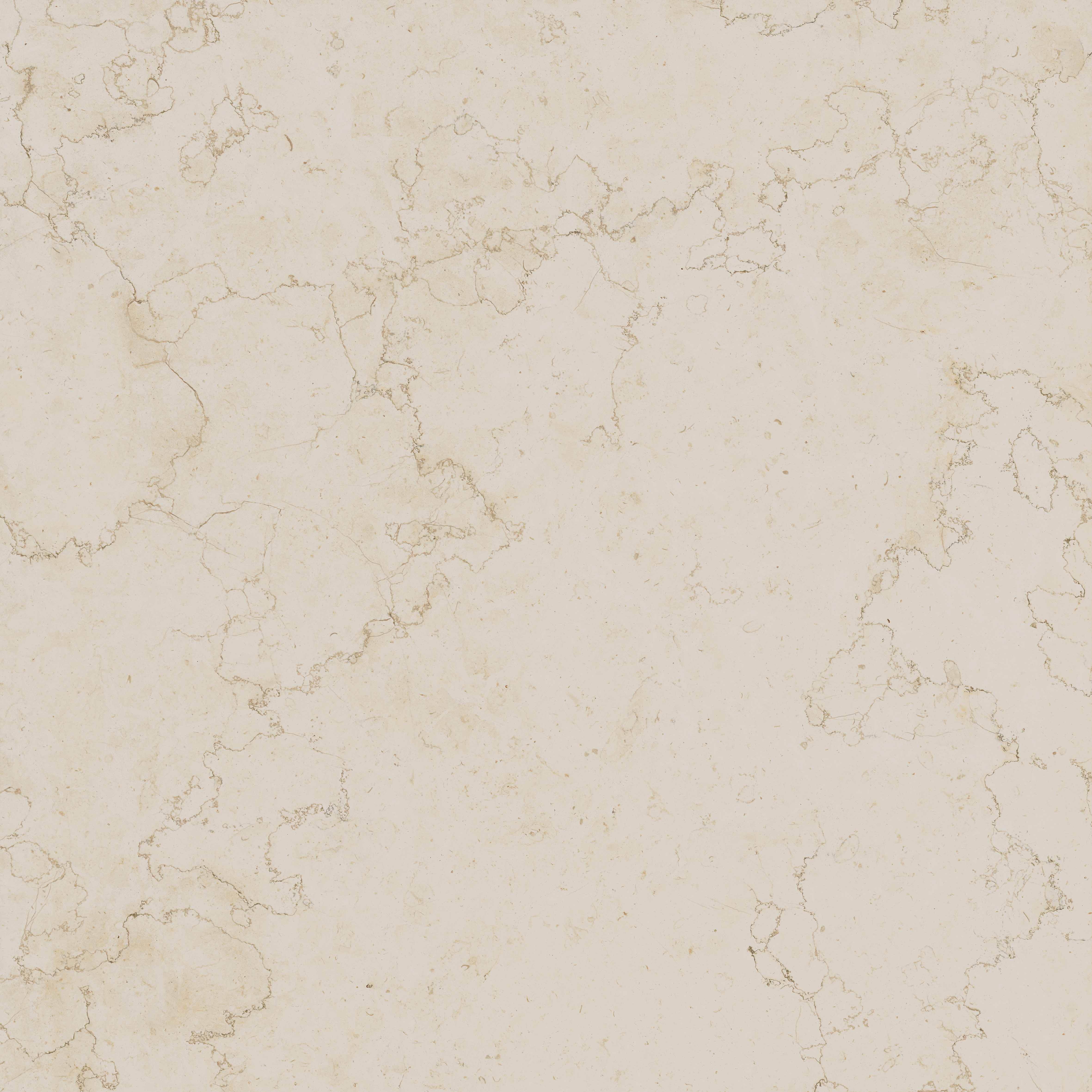 PF60020800 Bon Ton Biancone Nat 3D Ret 120x120 Gardenia Orchidea (Versace) фото 7