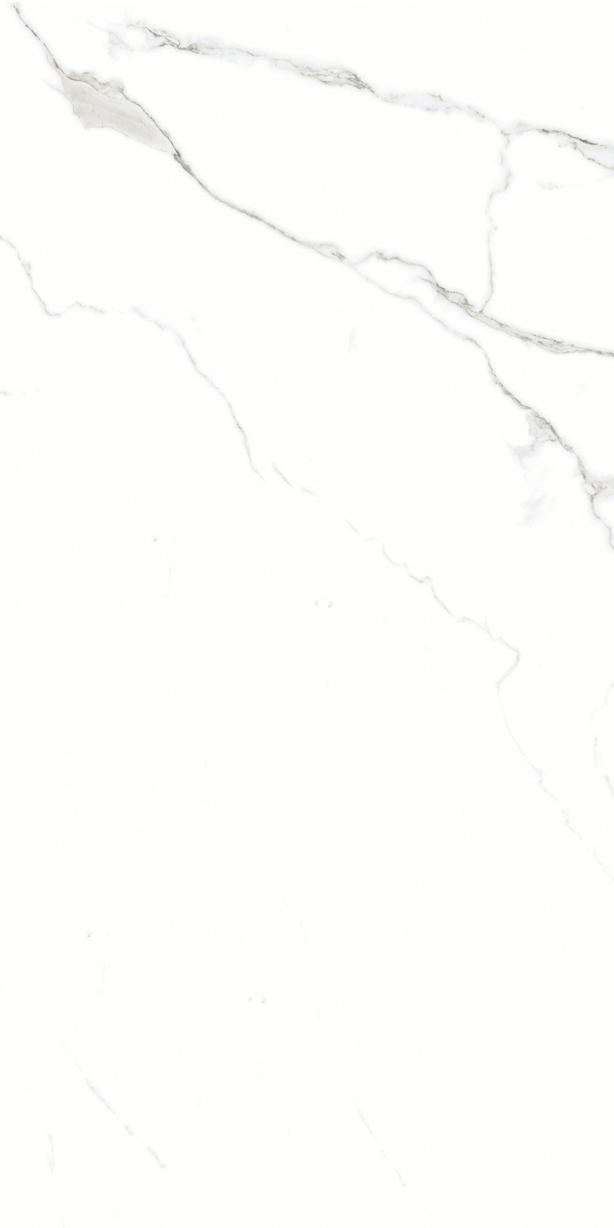905 Silver Shine 120x60 Artcer