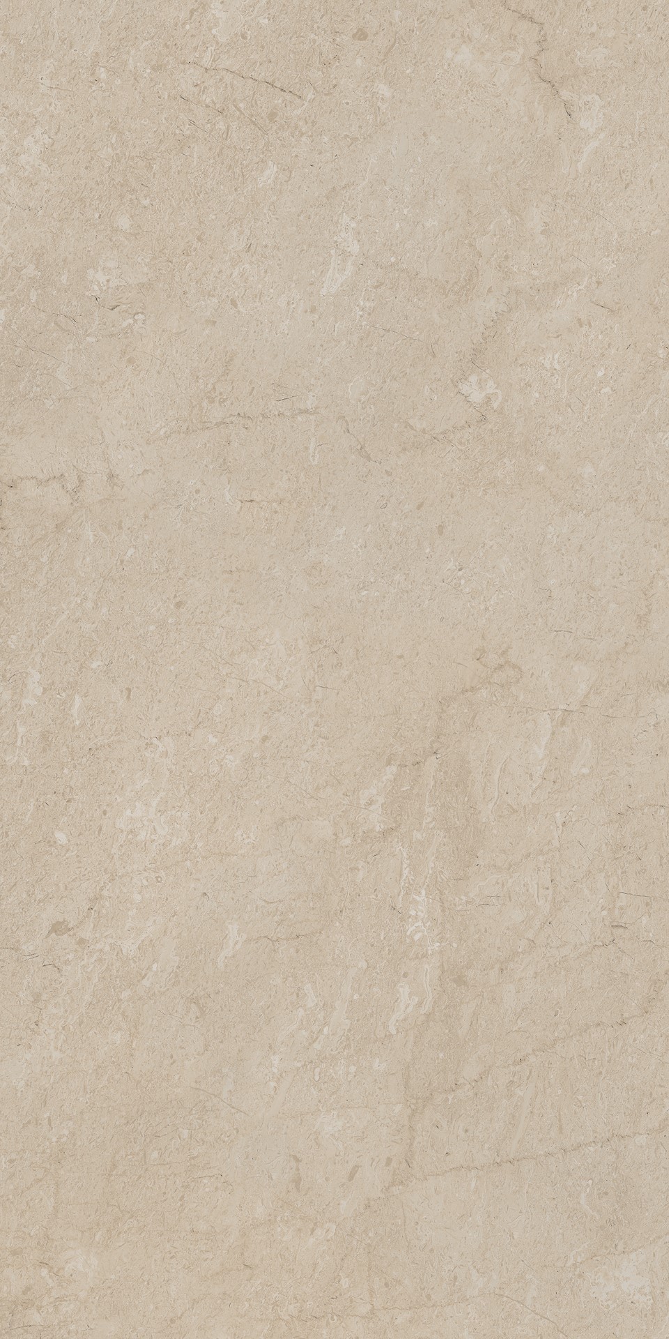 AEM01 Элемента Бежевый Неполированный Рект 60x120x9 Ametis by Estima фото 12