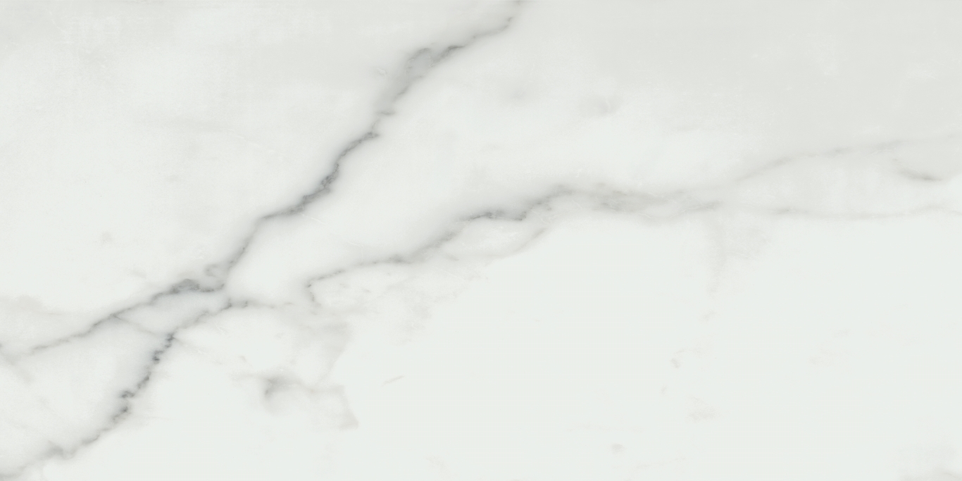 Invictus Natural Rectificado 60x120 Baldocer