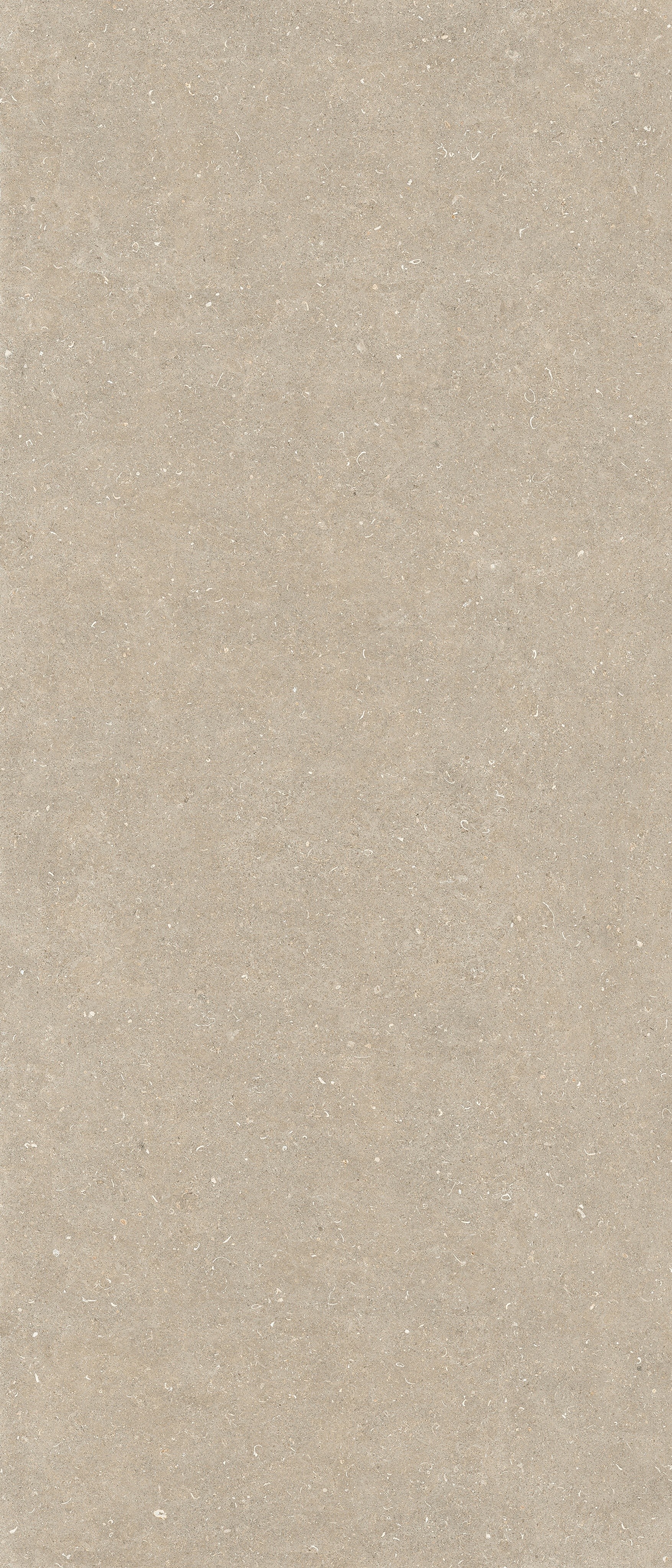 785571 Rinascenza Arena Conchiglia Matte 6mm 120x280 Casa Dolce Casa фото 2