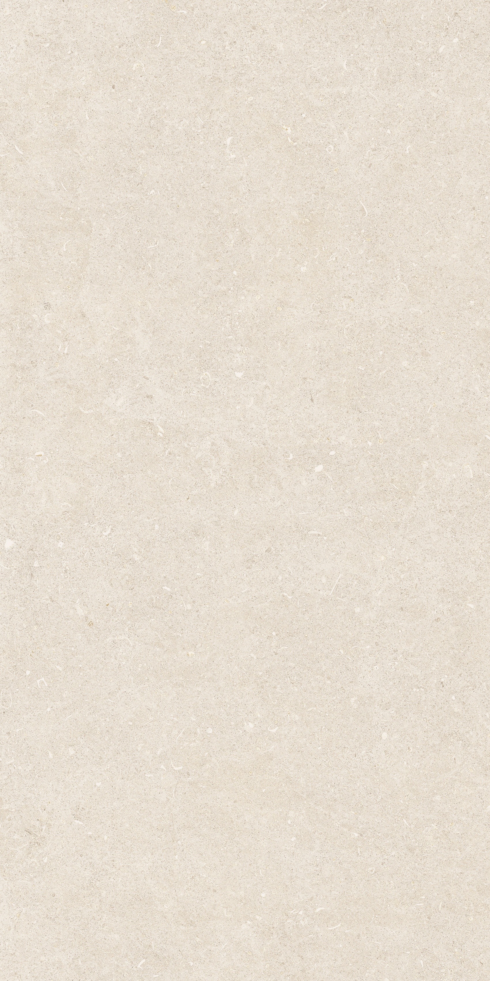 785480 Rinascenza Arena Bianco Antico Matte 60x120 Casa Dolce Casa фото 2