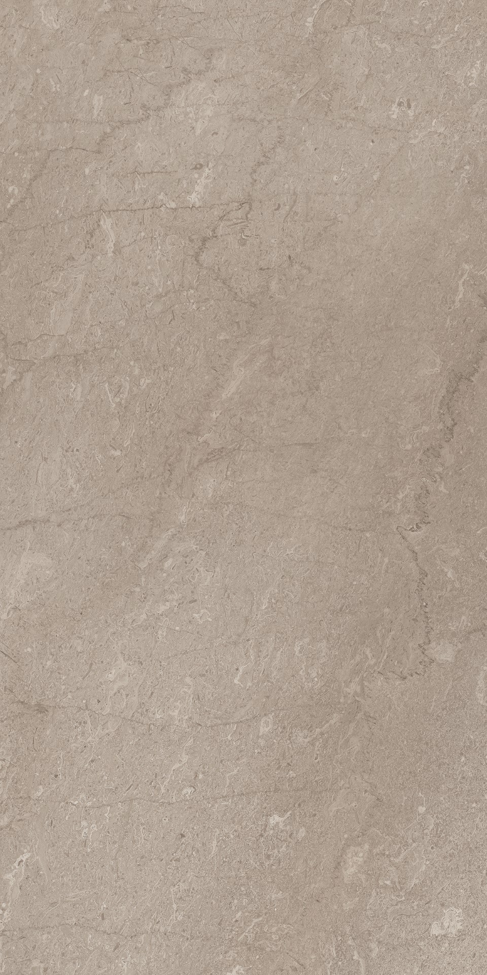 AEM02 Элемента Серый Неполированный Рект 60x120x9 Ametis by Estima фото 4