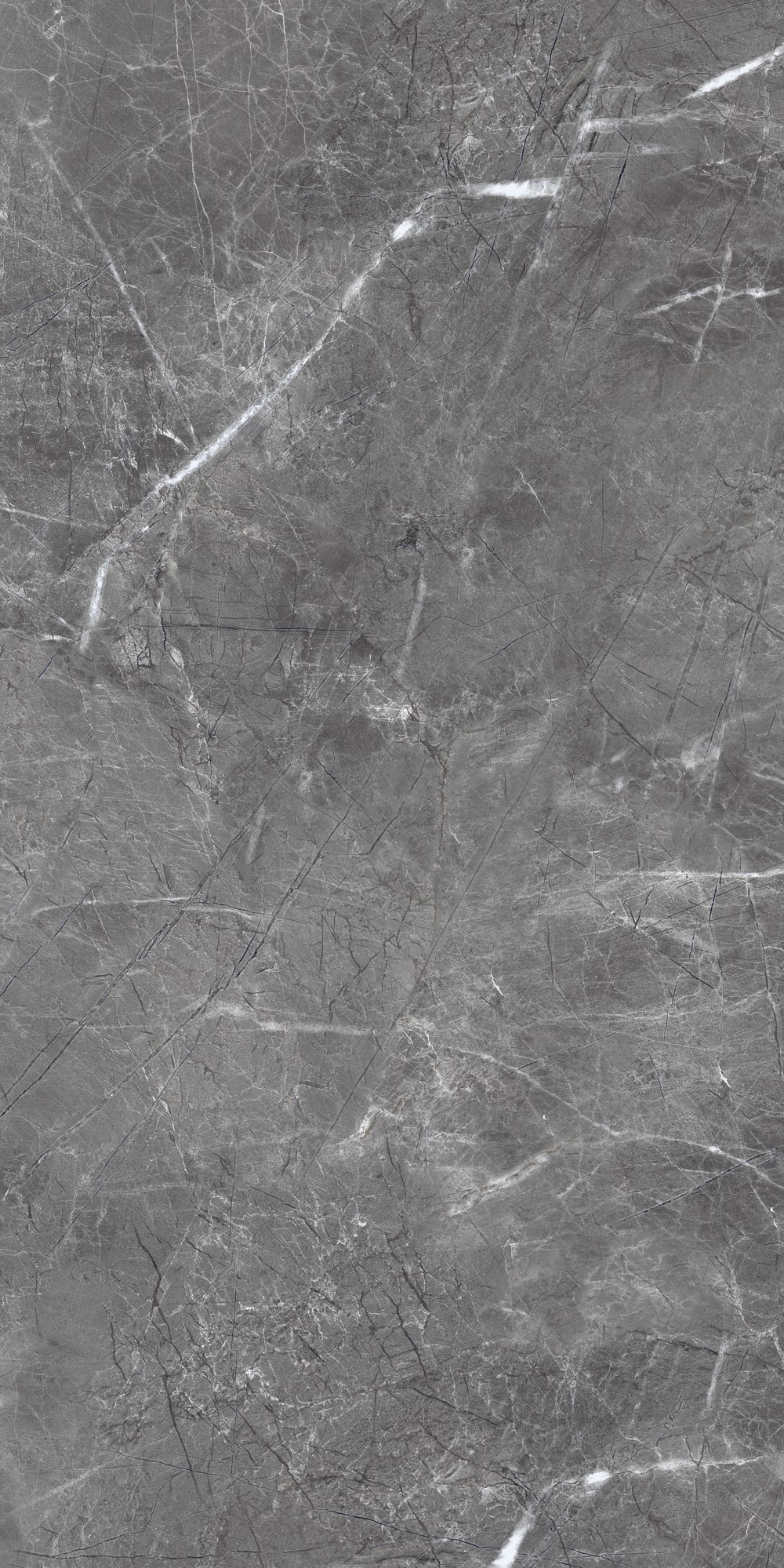 Shadow Dark Grey Polished 60x120 Realistik