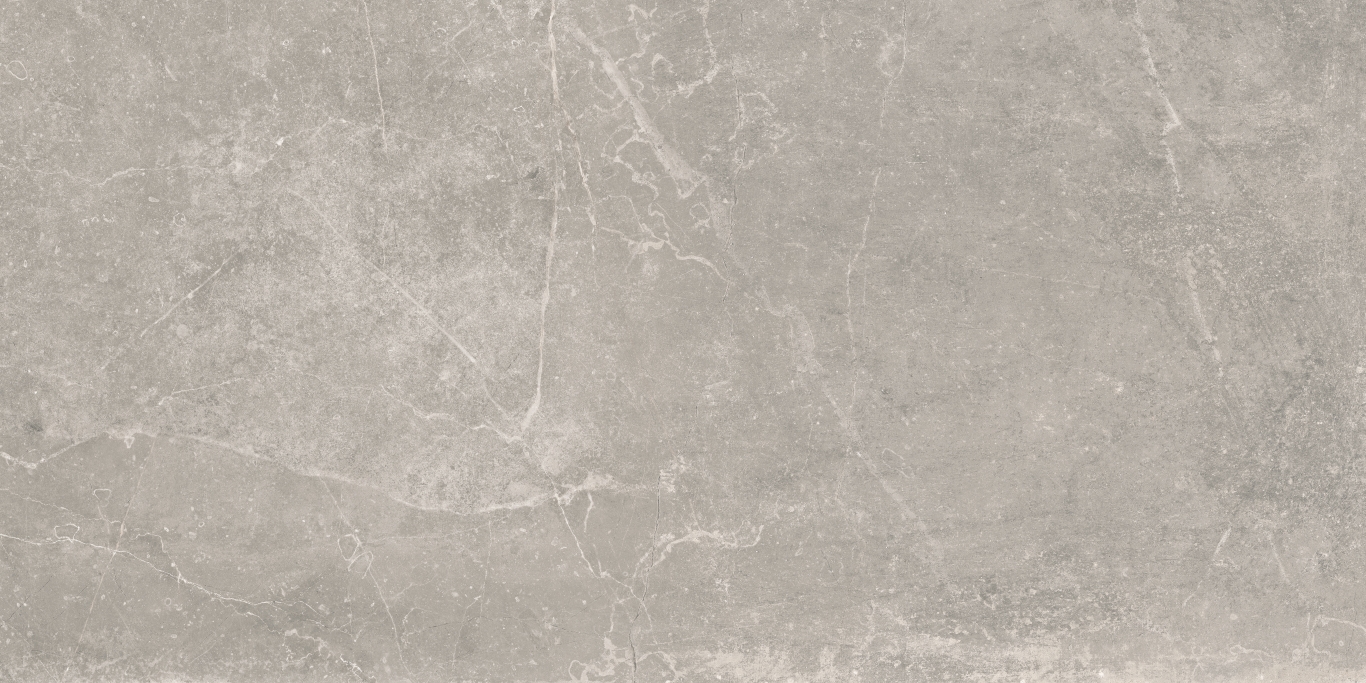 Concept Gray Pulido 60x120 Baldocer