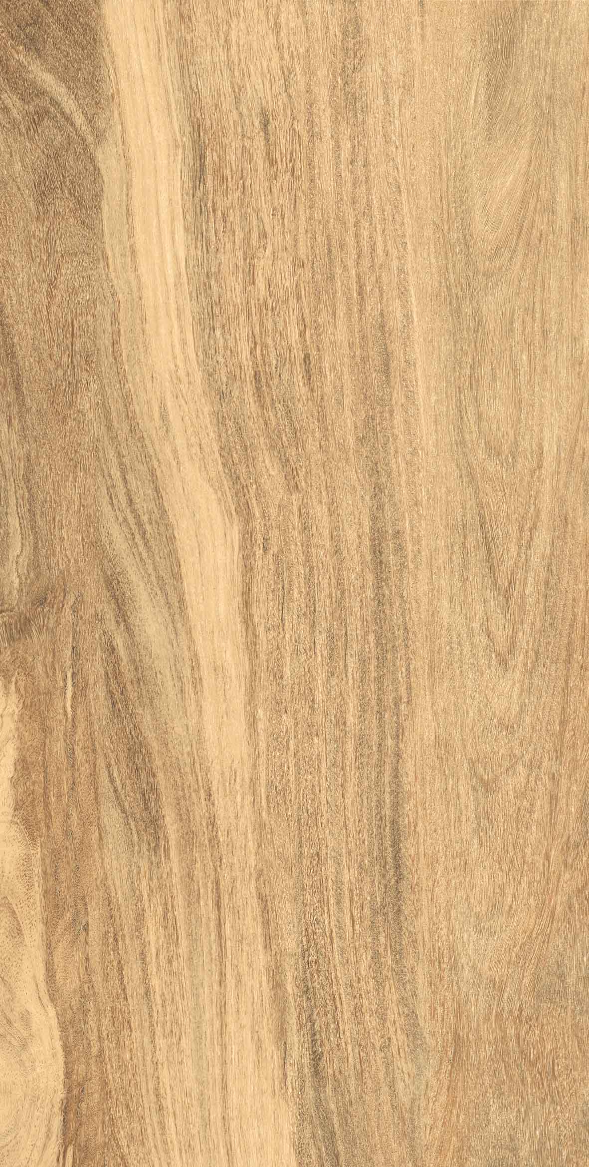 Taiga Light Matt Carving 60х120 Gresant